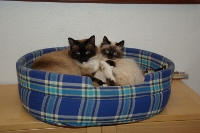 Charlene & Brian