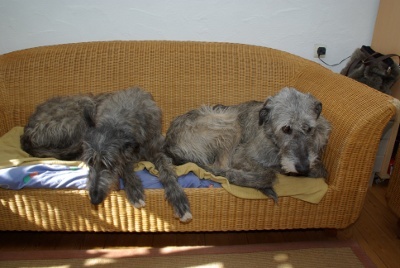 Demi und Ceddy