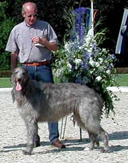Fritzen's Great Gatsby Sieger Jahresausstellung 2003