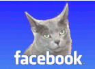 logo facebook